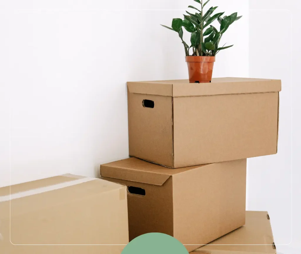 Move in move out cleaning Doral Miami — apartment and home turnover cleaning Harmony Clean